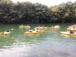 DSCF8519