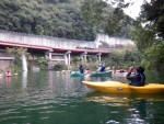 DSCF8731