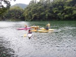DSCF8736