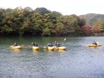 DSCF8803