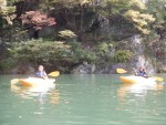 DSCF8819