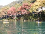 DSCF8928