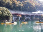 DSCF8971