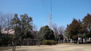 170304_1228