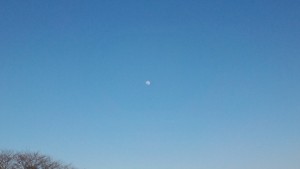 170310_1706